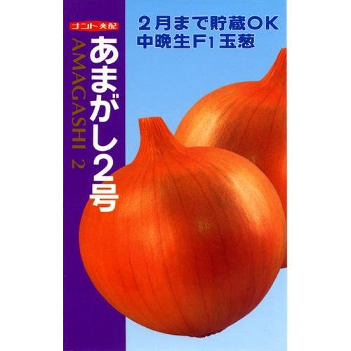 日本画(19)　玉ねぎ2 Amazon.co.jp: 永井繁男 『玉葱』 日本画 色紙（額縁付き